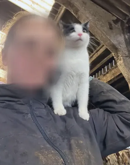 Livia, 23